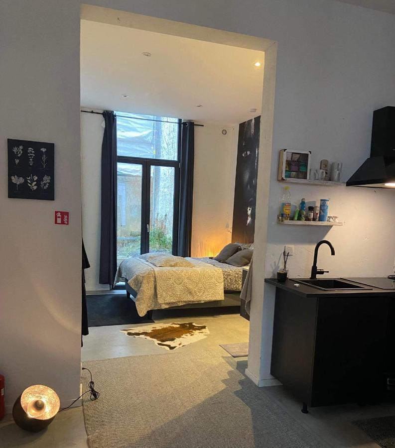 Garden Suite In City Center أنتويرب المظهر الخارجي الصورة