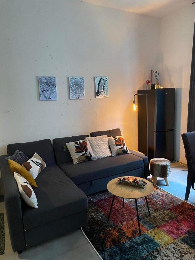Garden Suite In City Center أنتويرب المظهر الخارجي الصورة